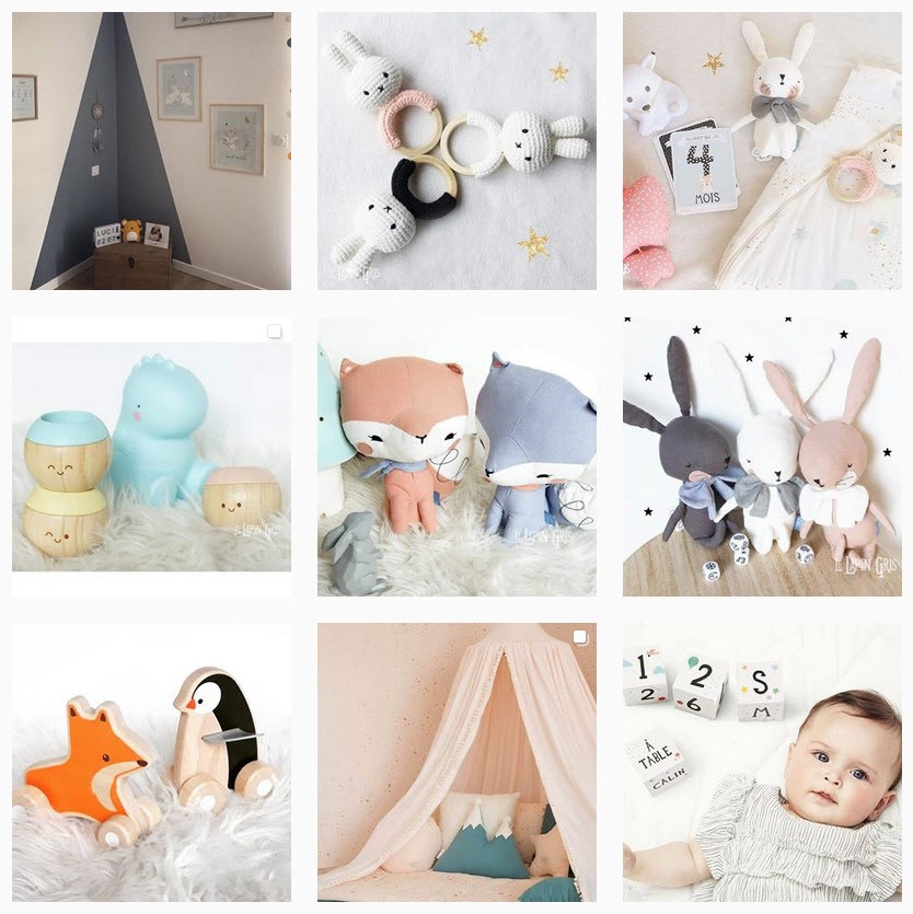 Lapin gris Lapin gris