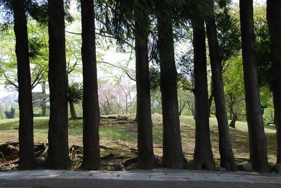Le parc de Nara (3)