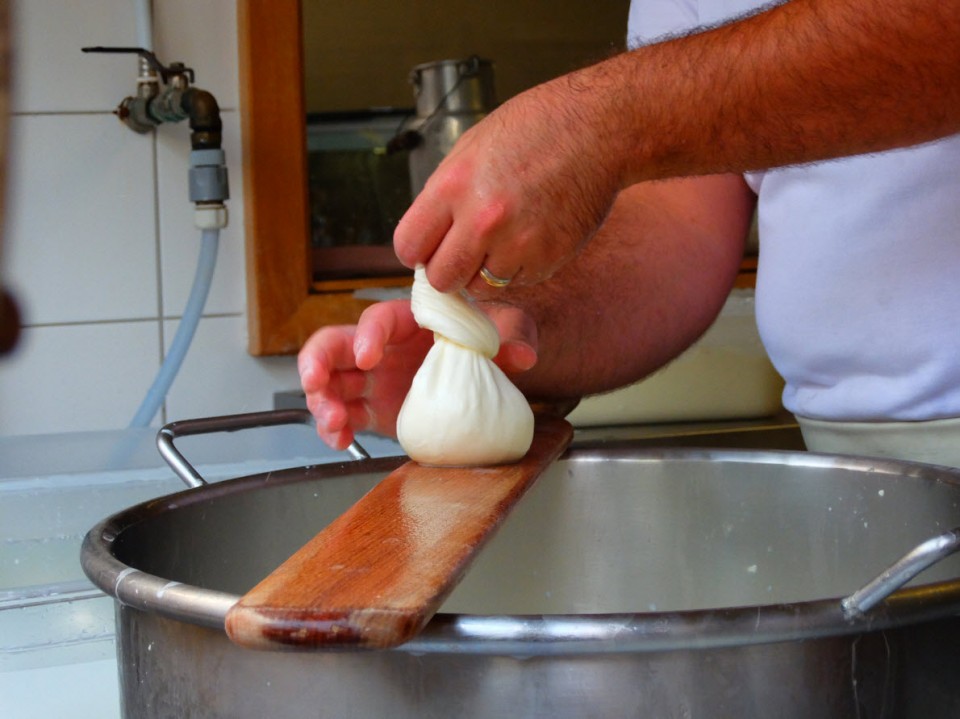Atelier mozzarella et vins Atelier mozzarella et vins