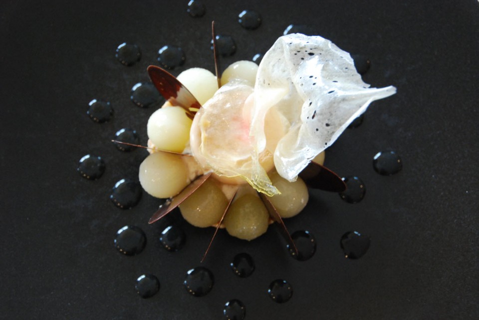 Taste of Dorchester Collection Taste of Dorchester Collection