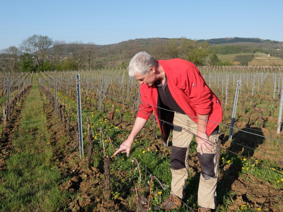 Rencontre avec André-Jean Morin, vigneron au Domaine de la Touraize