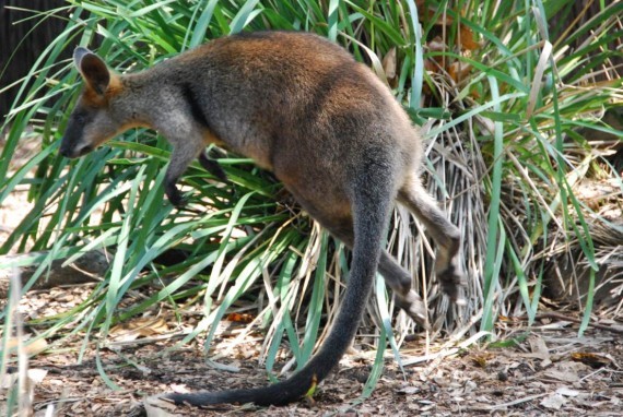Rencontres sydney