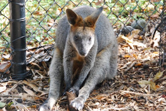 Rencontres sydney
