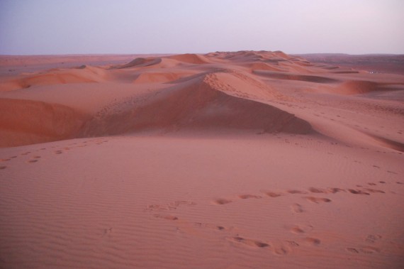 Desert Nights Camp Oman (4)