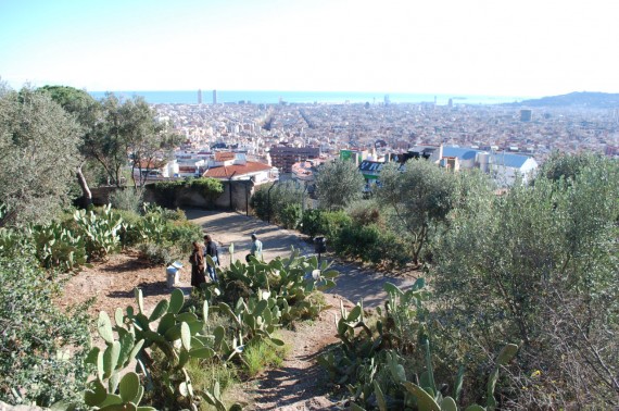 Park Güell Barcelone Gaudí (20)