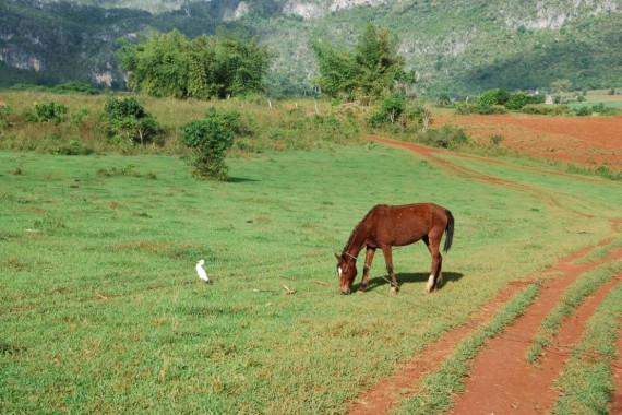Parc National Viñales à cheval (8)
