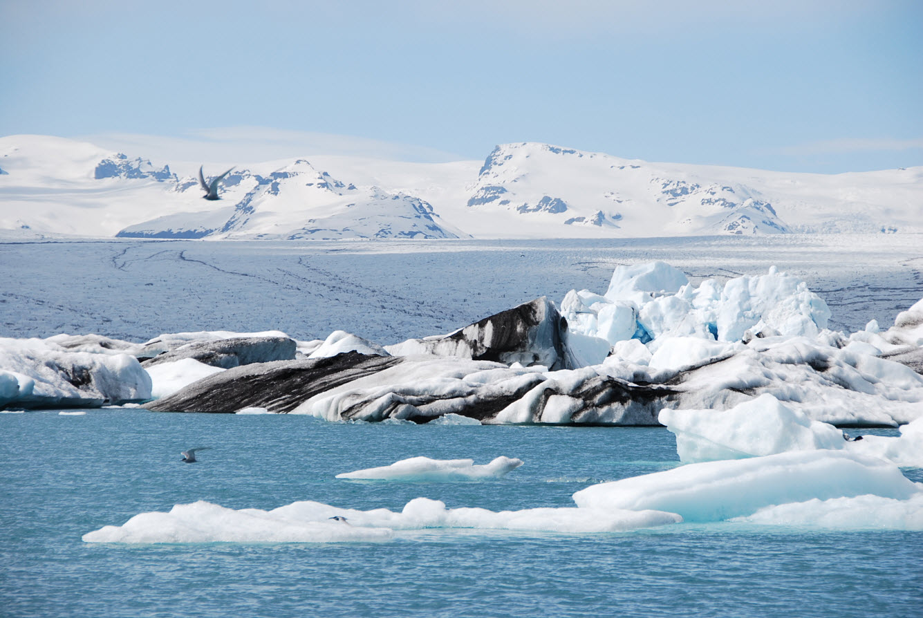 Itineraire tour Islande icebergs de Jokulsarlon