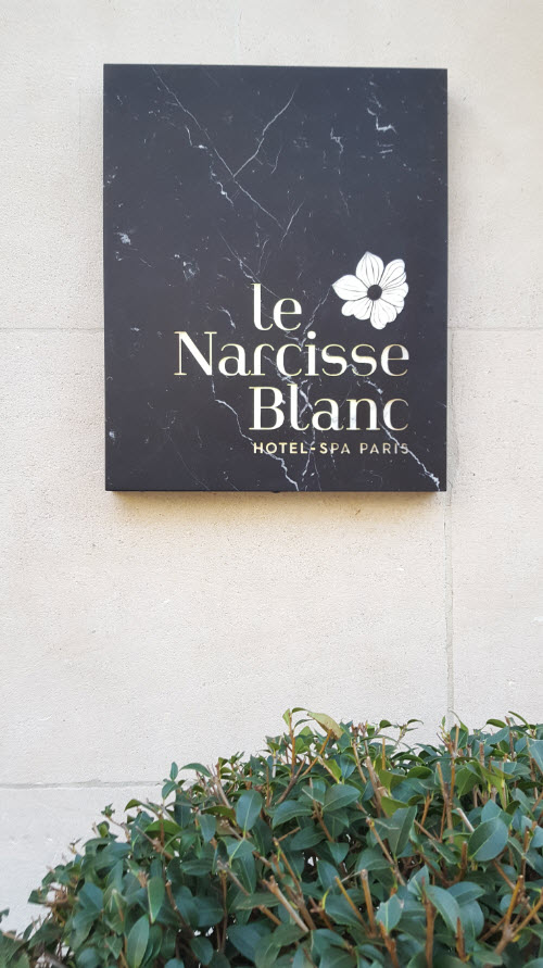 Narcisse Blanc Paris
