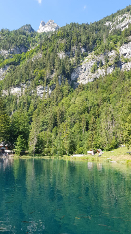 Blausee Oberland Bernois
