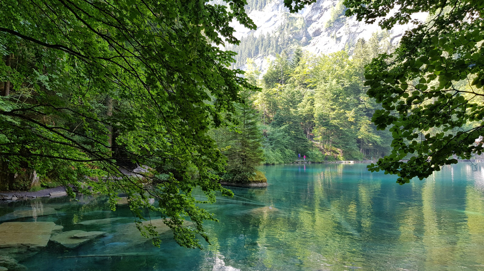 Blausee plus beaux lacs de Suisse