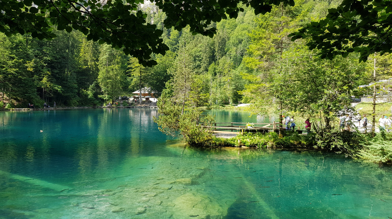 Lac transparent Suisse