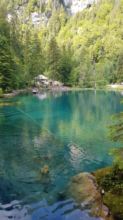 Lac transparent montagne Blausee Suisse