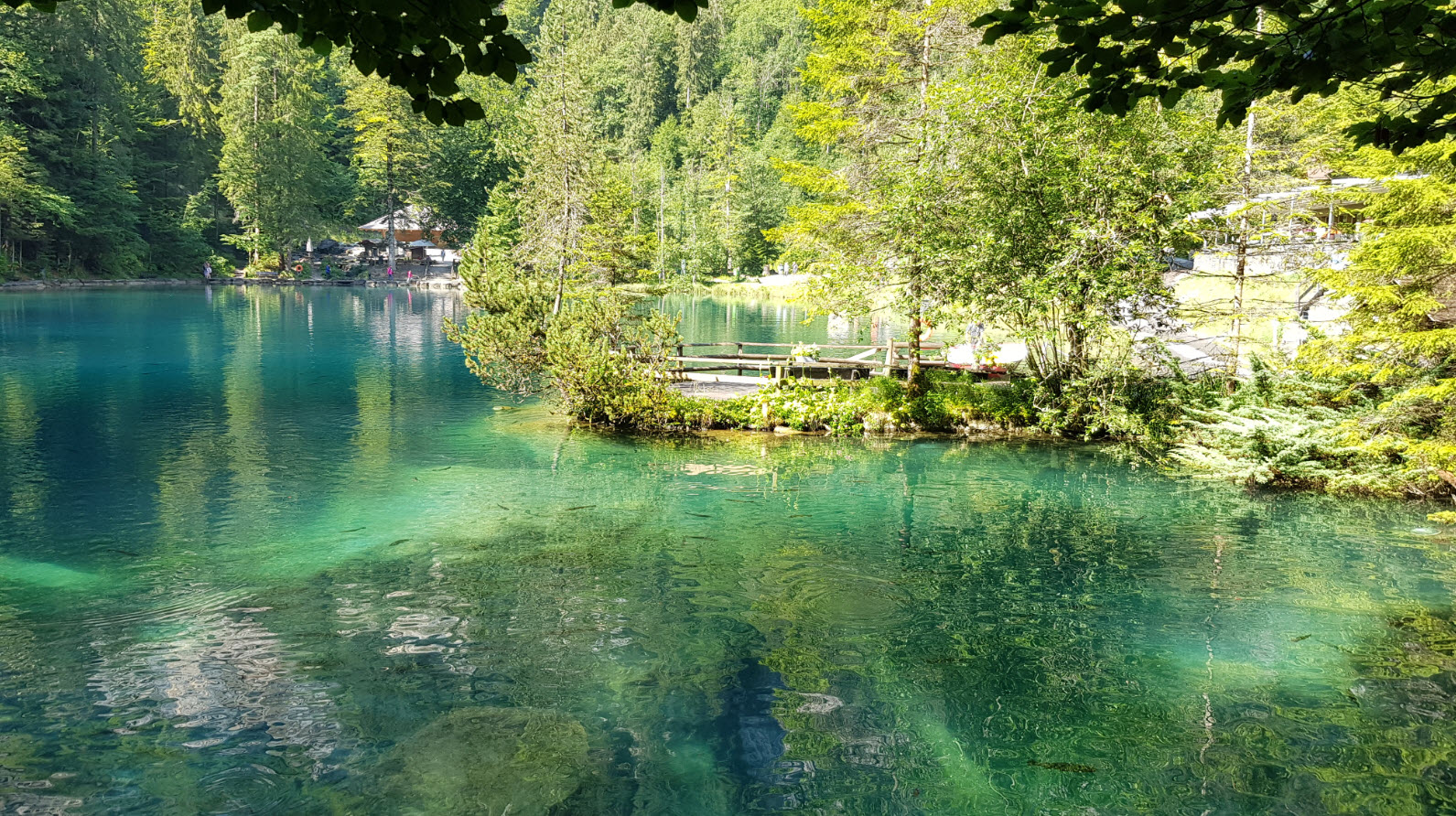 Lac transparent montagne Blausee Suisse