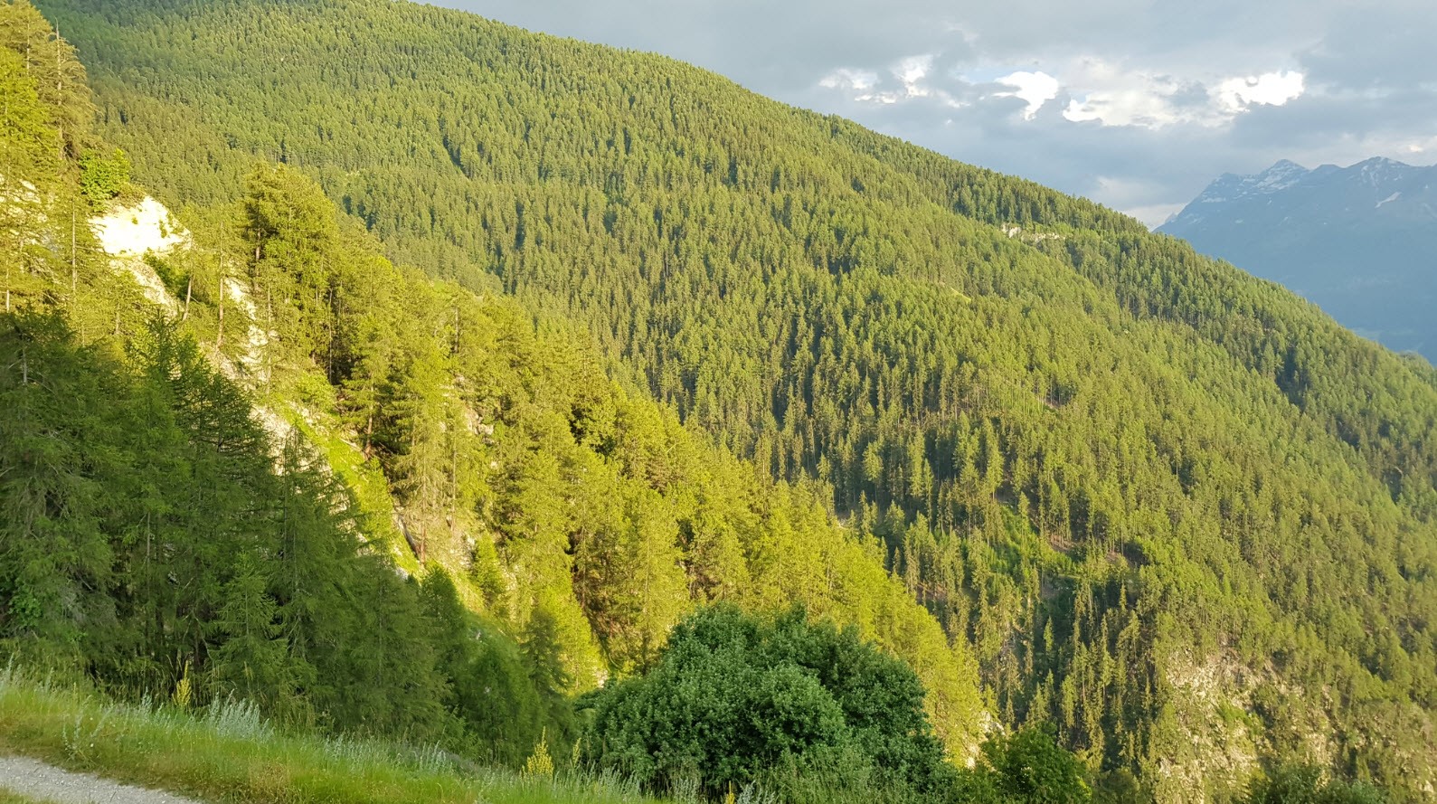 La vue La vue
