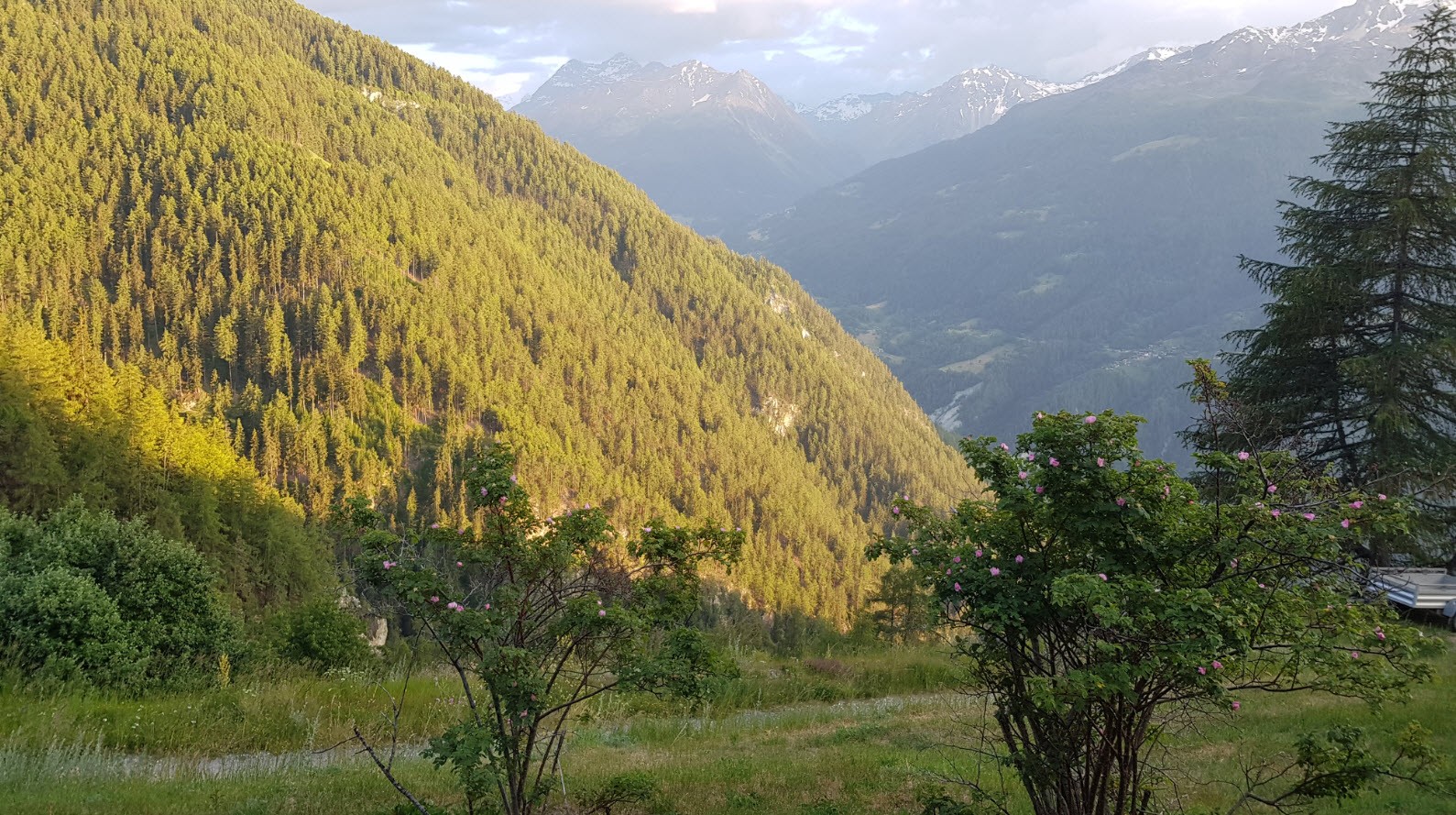 La vue La vue