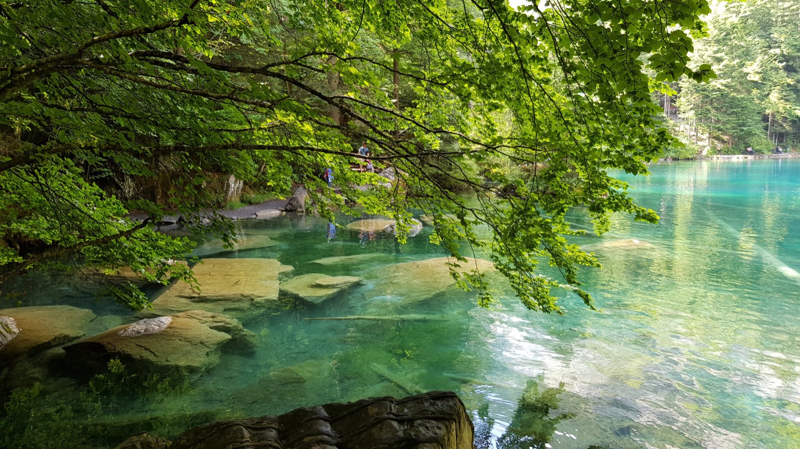 Lac transparent Suisse Lac transparent Suisse