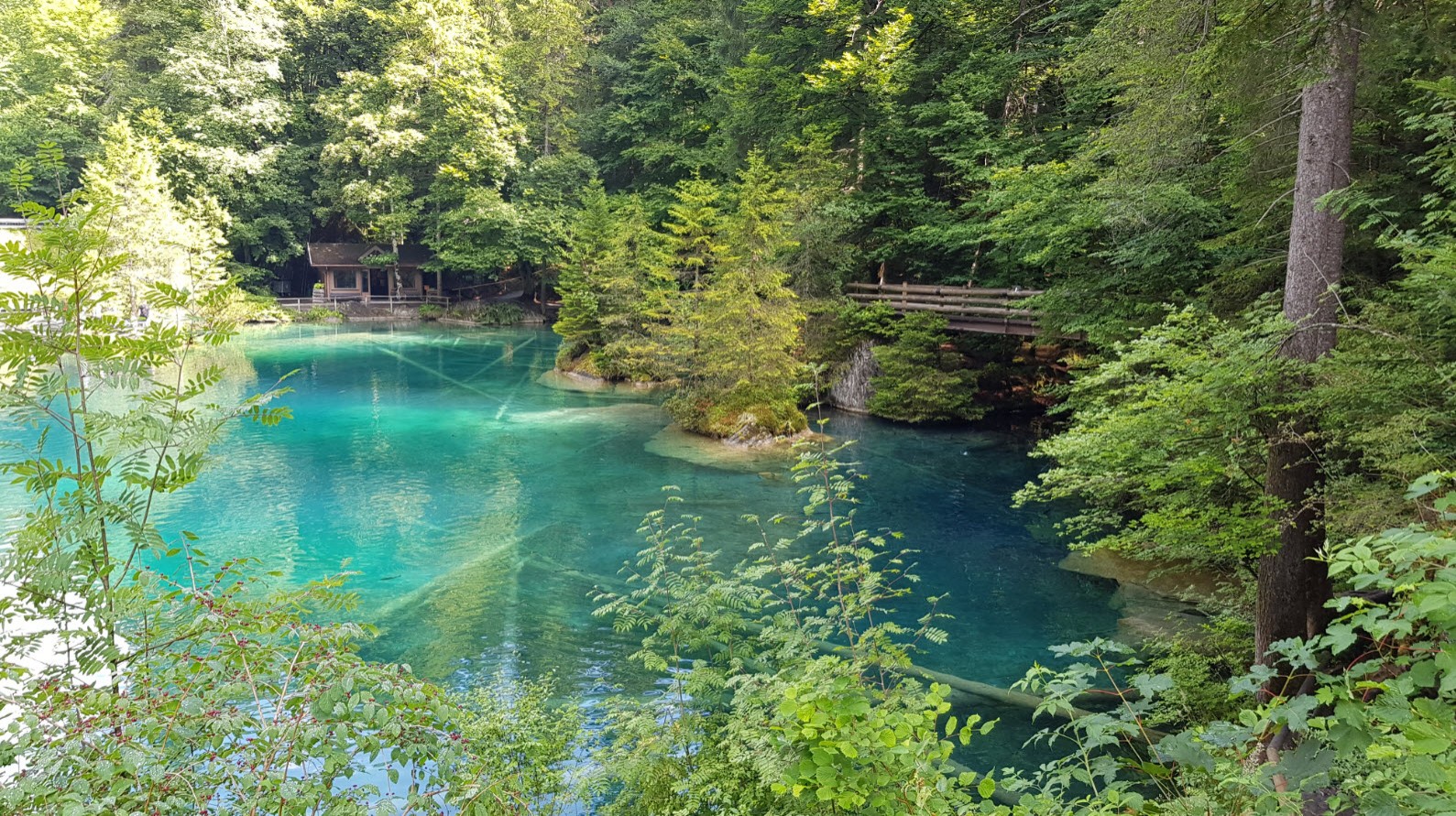 Blausee plus beaux lacs de Suisse Blausee plus beaux lacs de Suisse
