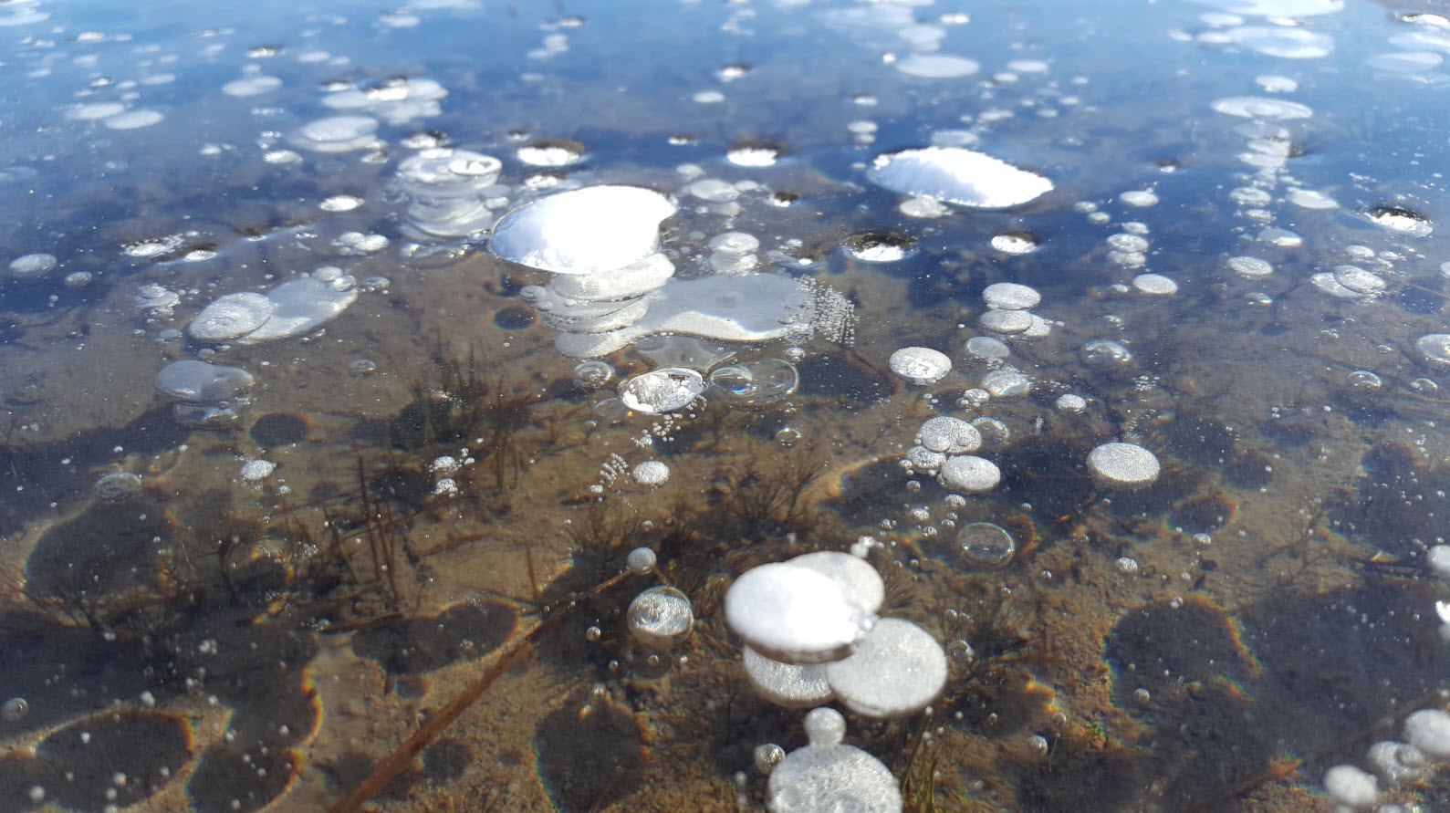 Bulles sous la glace Bulles sous la glace