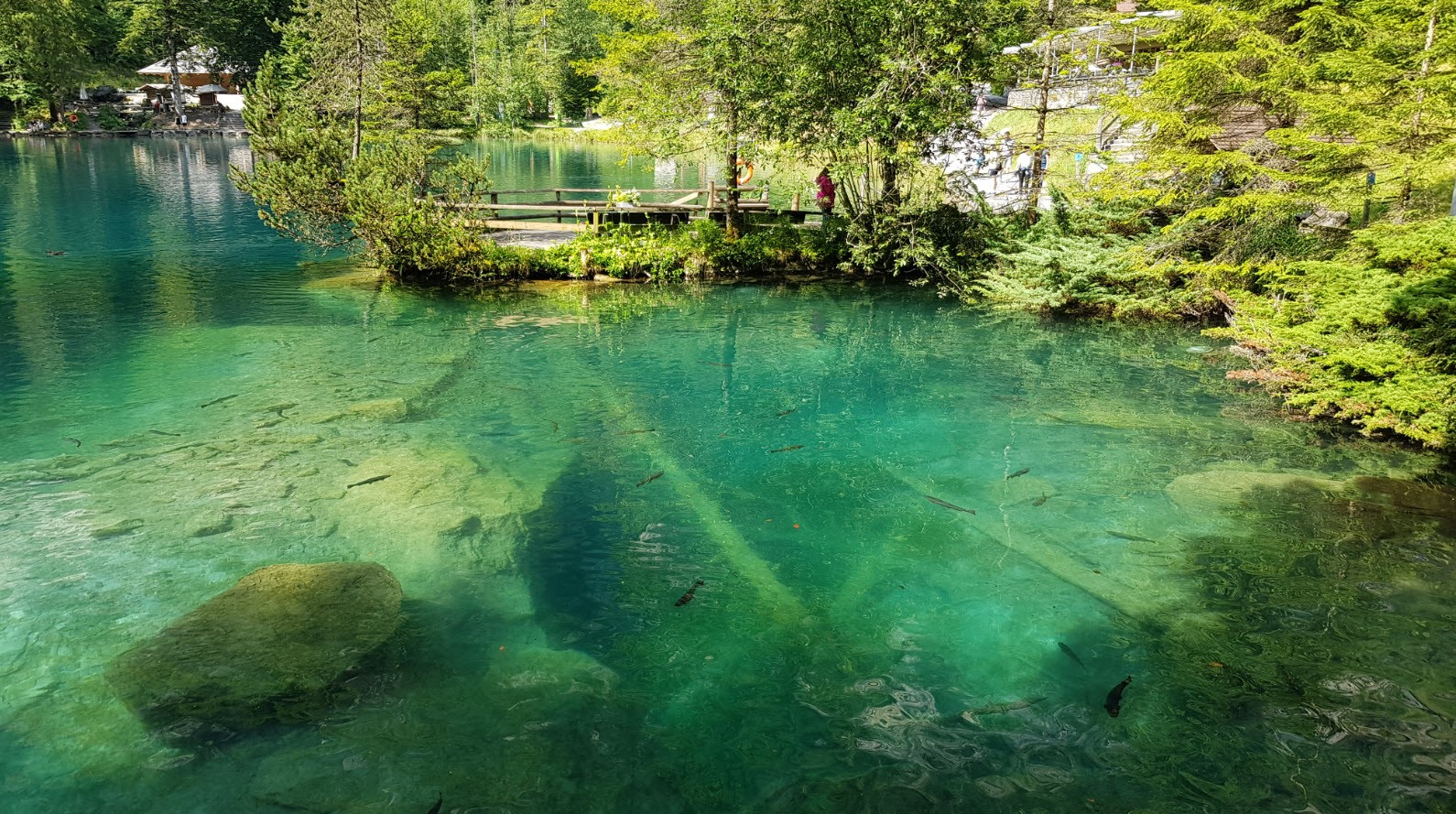 Lac transparent Suisse Lac transparent Suisse