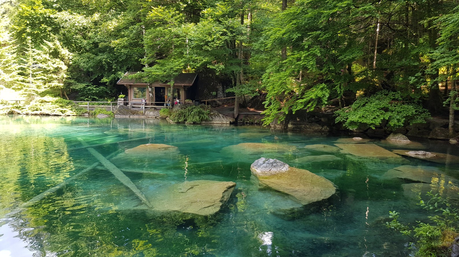 Blausee plus beaux lacs de Suisse Blausee plus beaux lacs de Suisse