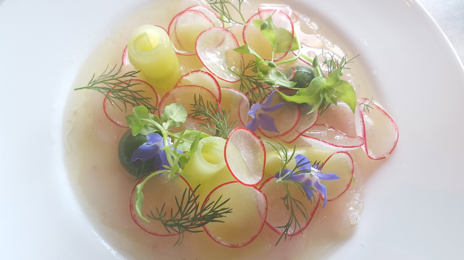 CARPACCIO DE FERA CARPACCIO DE FERA