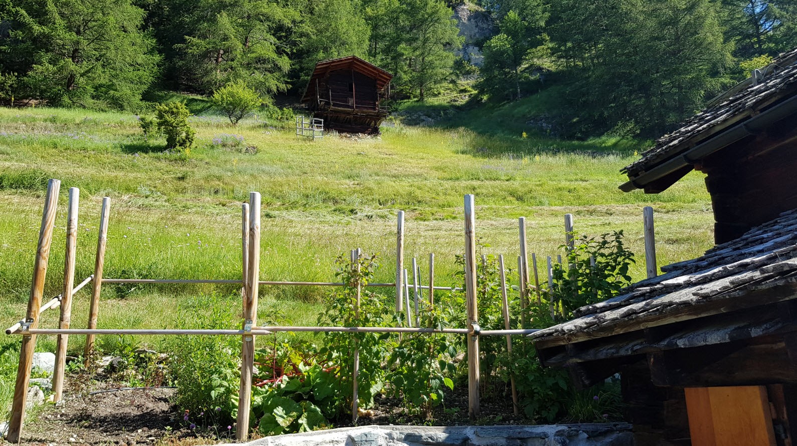 Jardin et transat Jardin et transat