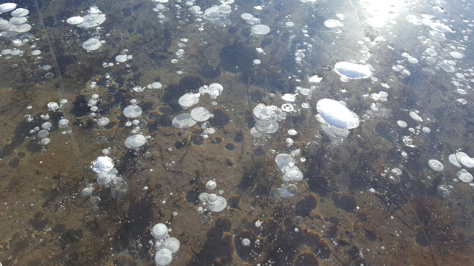 Magie sous la glace Magie sous la glace