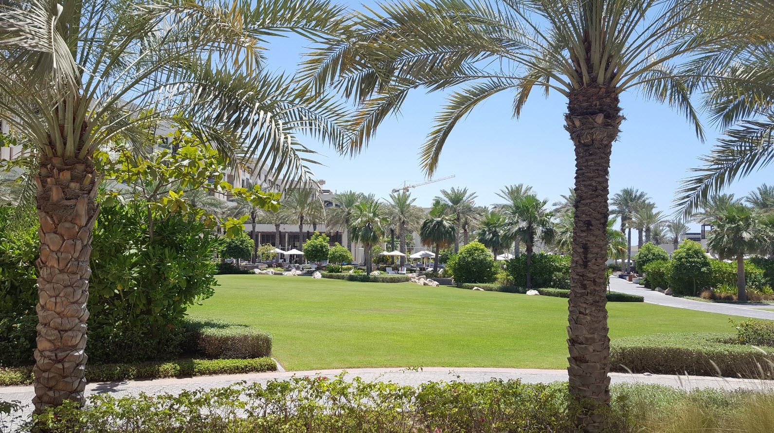 Jardin Jardin
