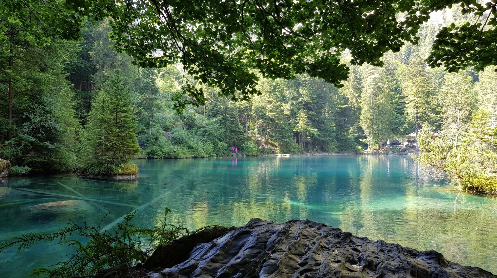 Lac transparent montagne Blausee Suisse Lac transparent montagne Blausee Suisse