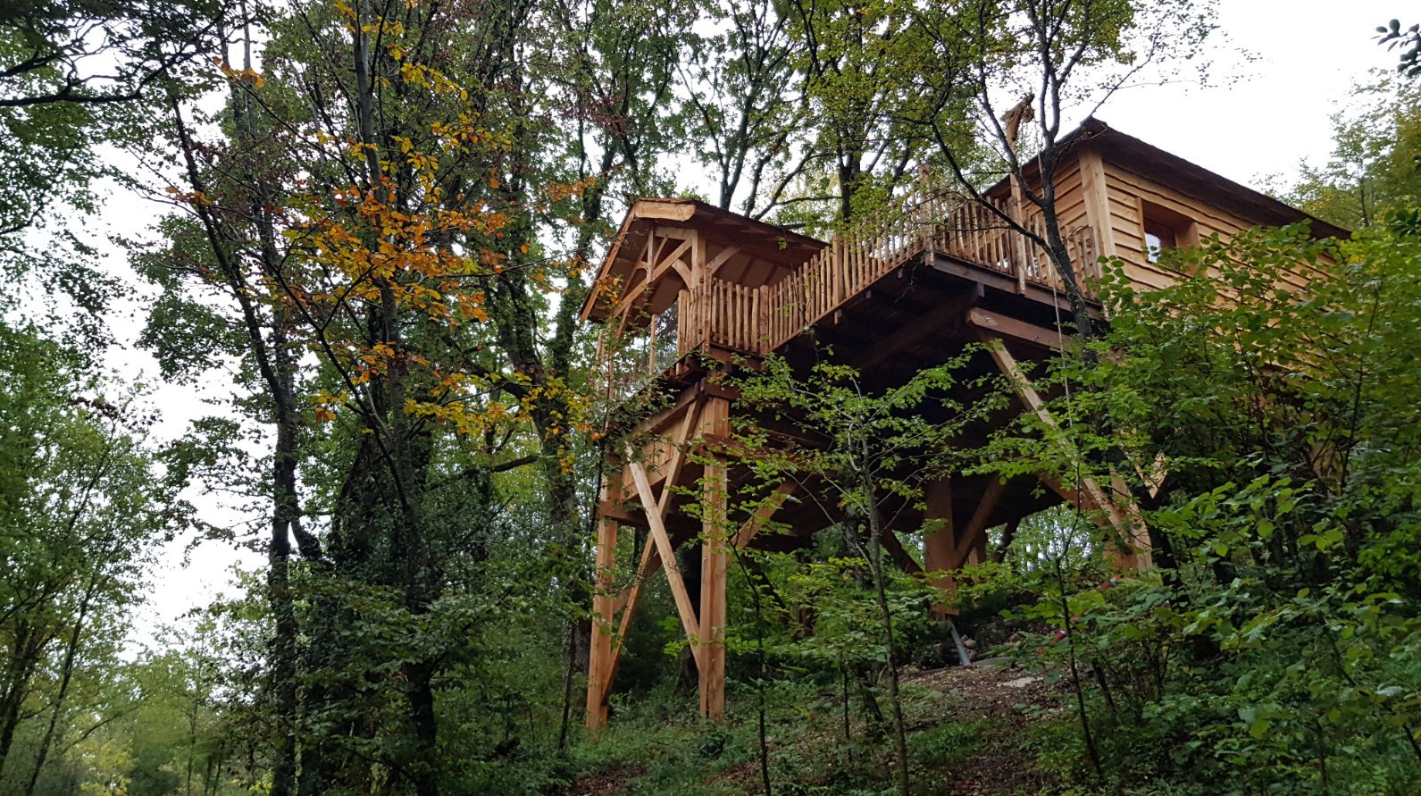 Cabane Ecureuil Cabane Ecureuil