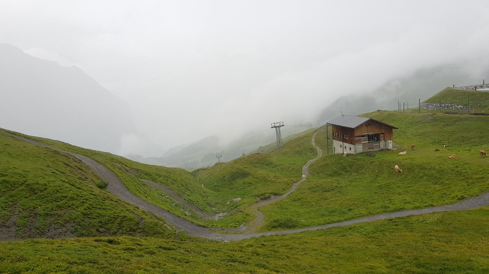 Grindelwald à Kleine Scheidegg en train Grindelwald à Kleine Scheidegg en train