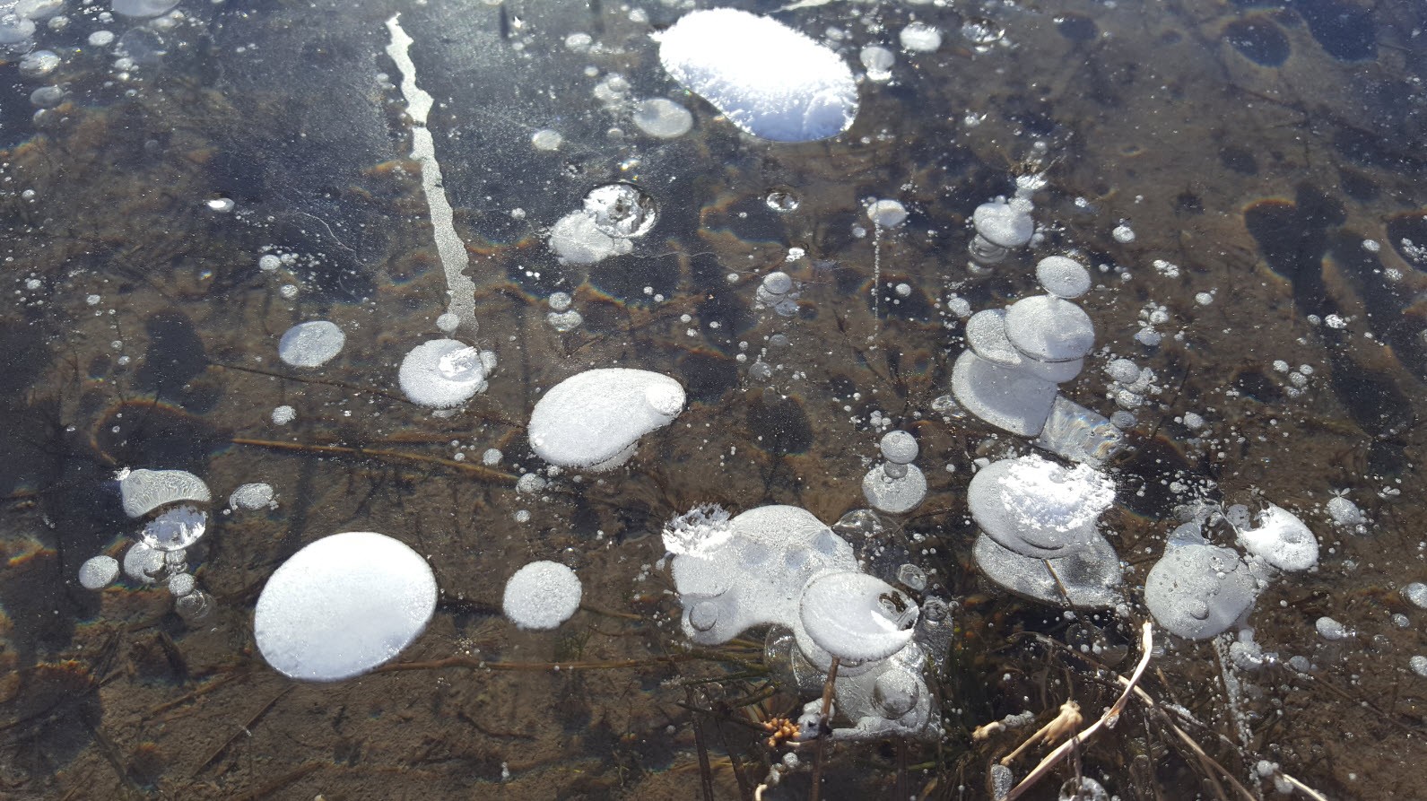 Bulles gelees Bulles gelees