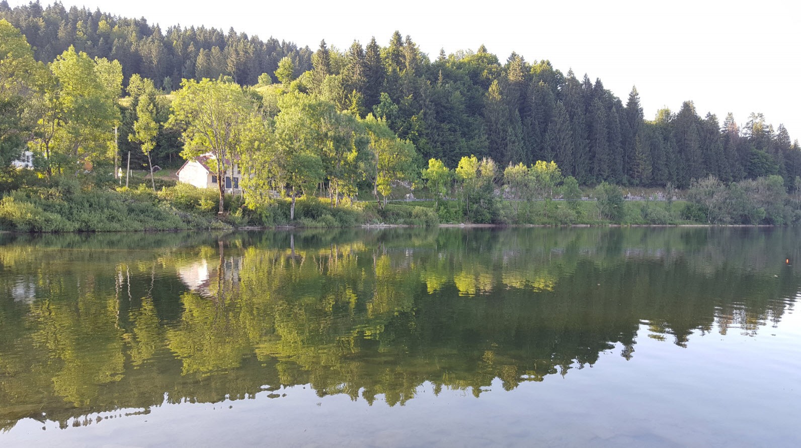 Reflections Reflections