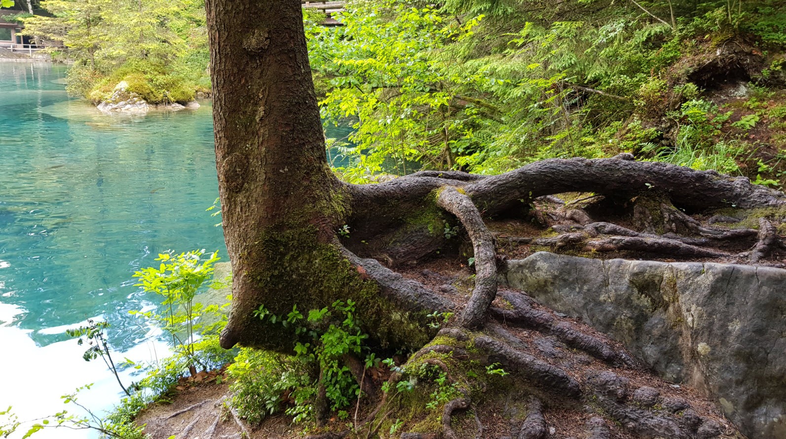 Blausee Oberland Bernois Blausee Oberland Bernois