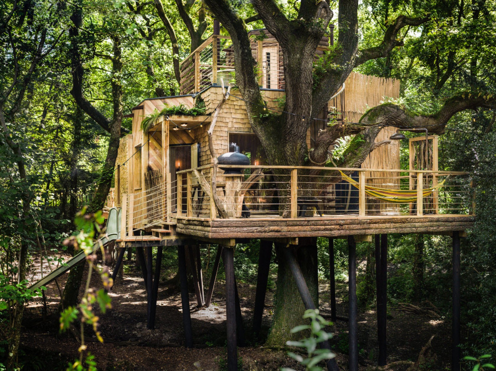 The Woodman's Treehouse