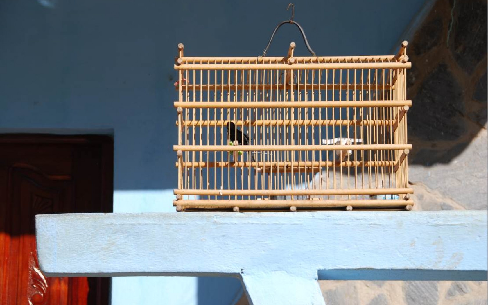 Les Jolis Oiseaux Cubains En Cage Inspiration For Travellers