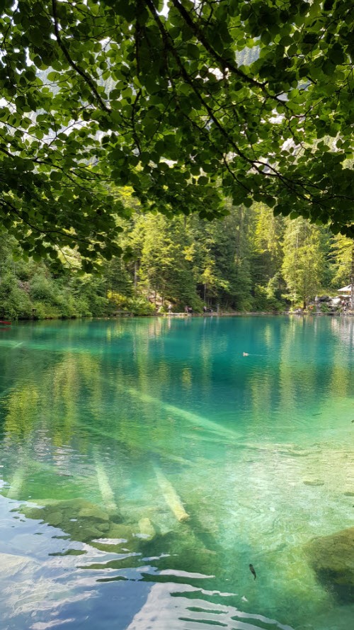 Lac transparent Suisse Lac transparent Suisse
