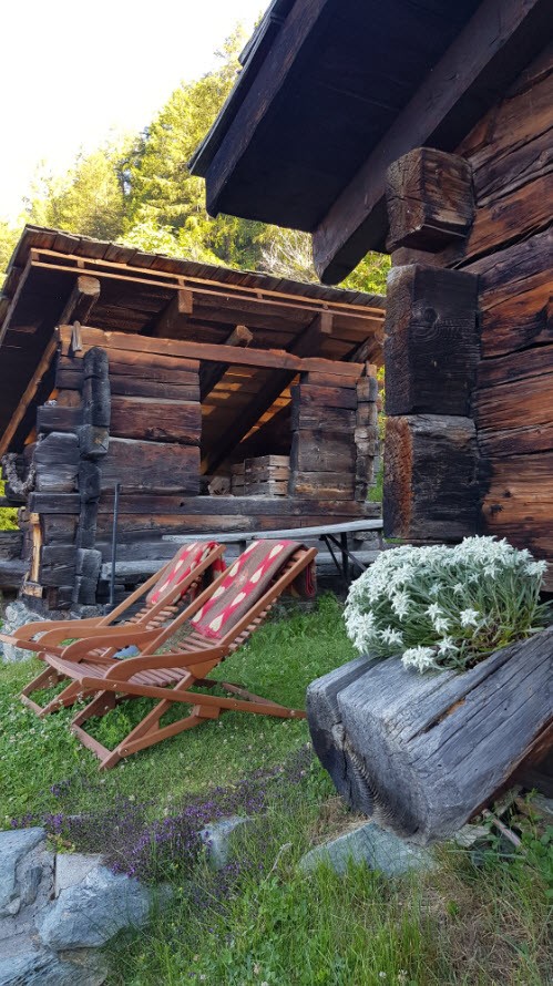 Jardin et transat Jardin et transat