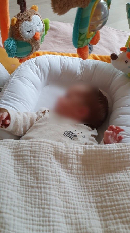 Cocon Babynest Cocon Babynest