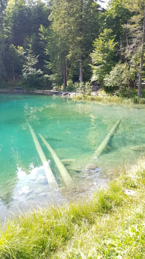 Blausee Oberland Bernois Blausee Oberland Bernois