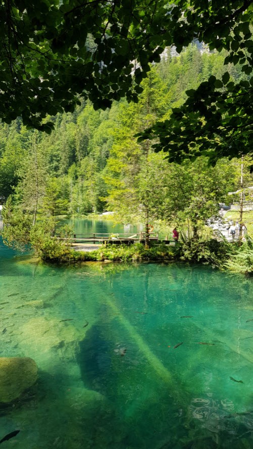 Lac transparent Suisse Lac transparent Suisse