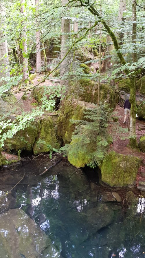 Lac transparent montagne Blausee Suisse Lac transparent montagne Blausee Suisse