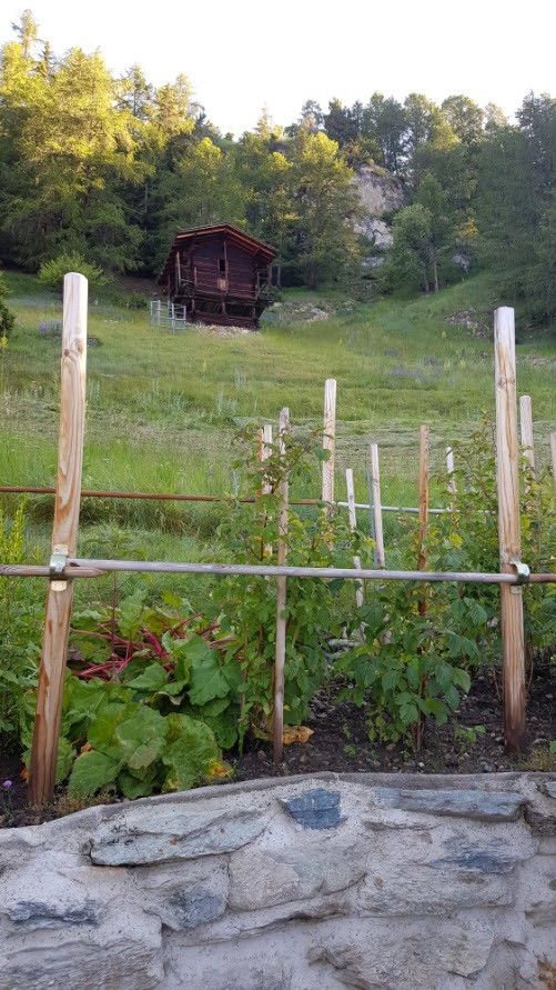 Jardin et transat Jardin et transat