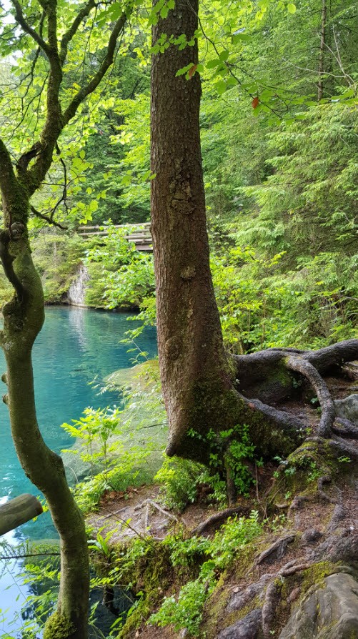 Lac transparent montagne Blausee Suisse Lac transparent montagne Blausee Suisse