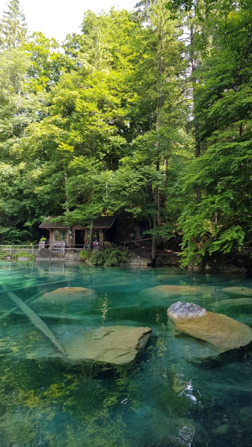 Lac transparent montagne Blausee Suisse Lac transparent montagne Blausee Suisse