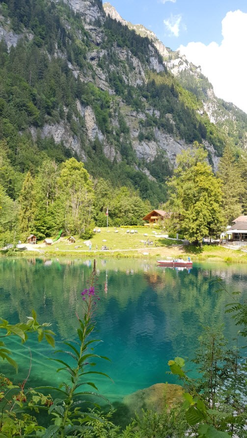 Lac transparent montagne Blausee Suisse Lac transparent montagne Blausee Suisse