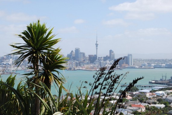Auckland12 Auckland12
