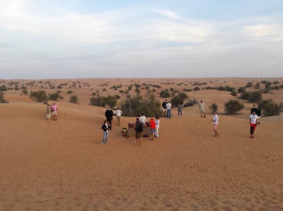 Al Maha camel ride (4) Al Maha camel ride (4)