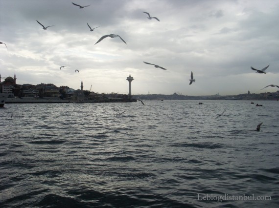 Interview Blog d'Istanbul 05 Interview Blog d'Istanbul 05