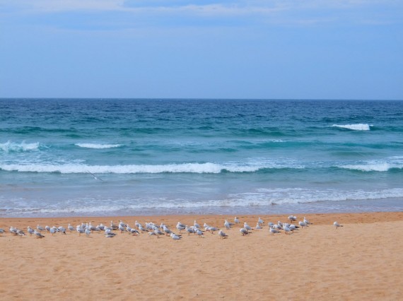 Manly 07 Manly 07